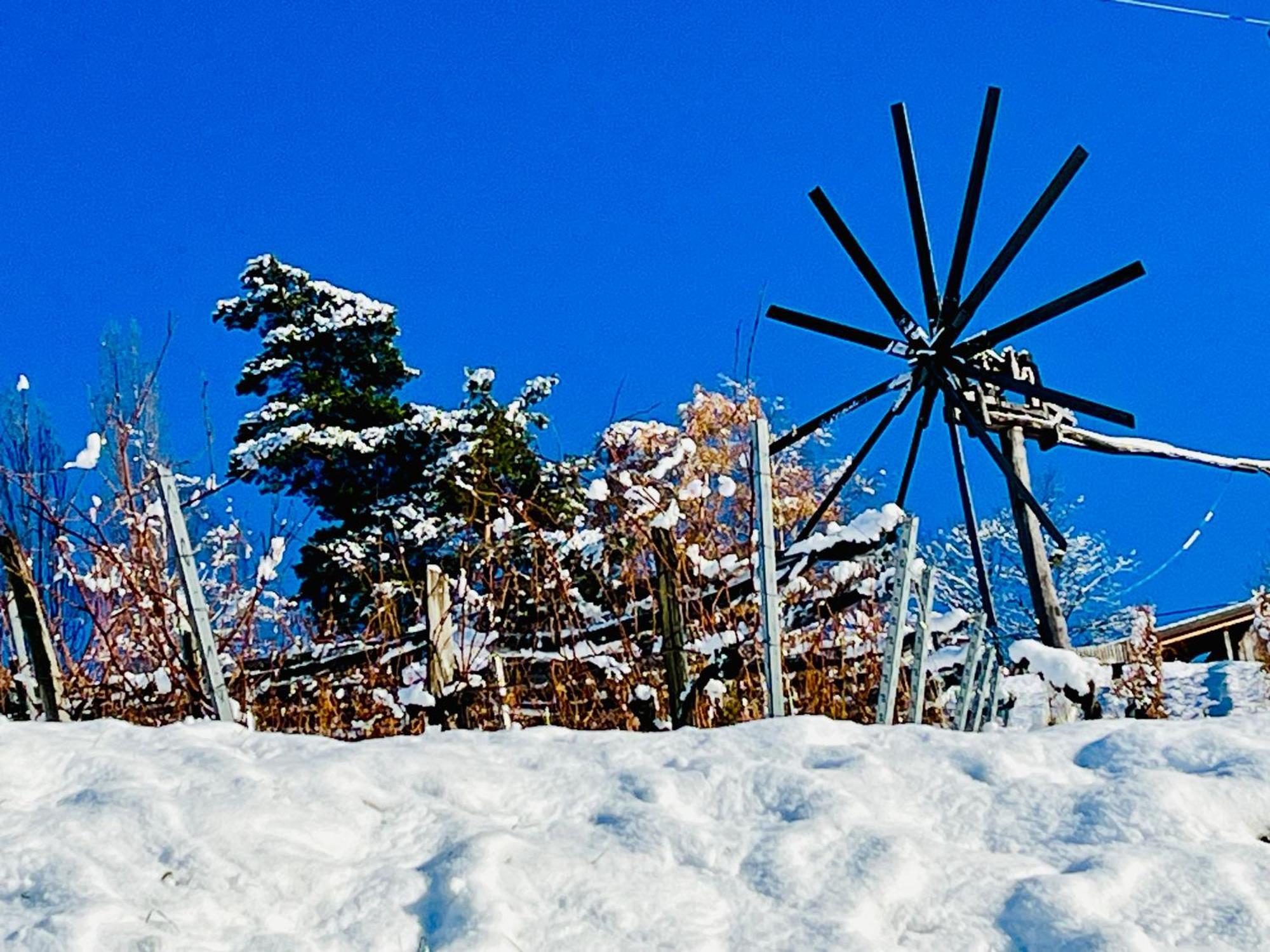 Ferienhaus Sausalblick Großklein Zewnętrze zdjęcie