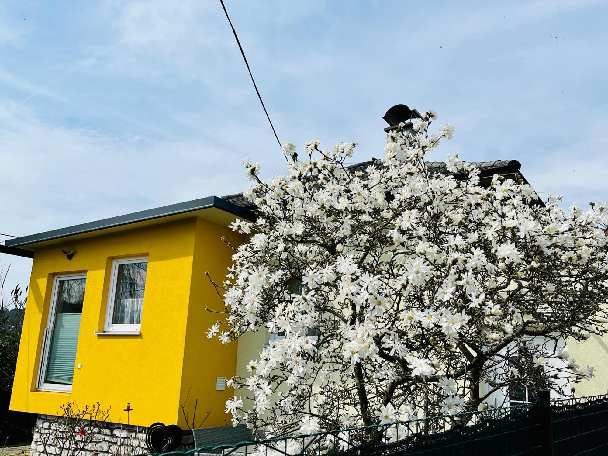 Ferienhaus Sausalblick Großklein Zewnętrze zdjęcie